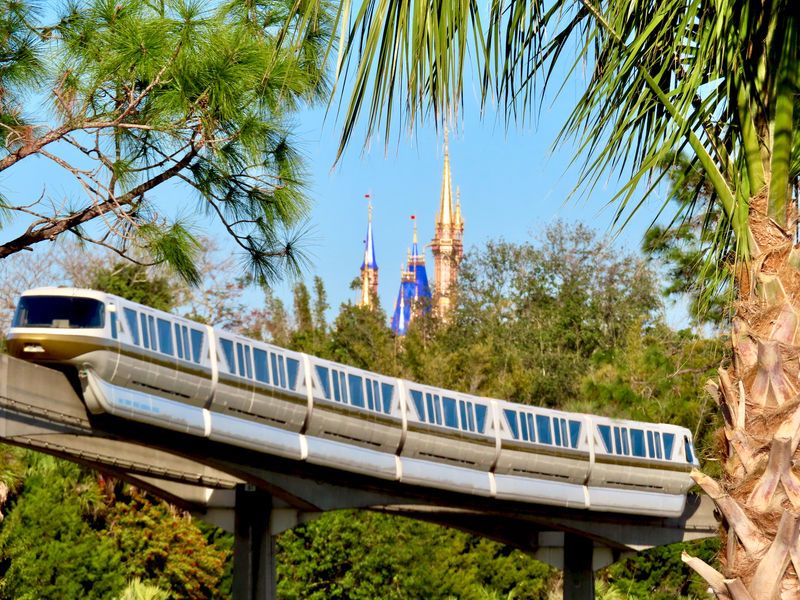 Walt Disney World Resort Update for January 20-25, 2021