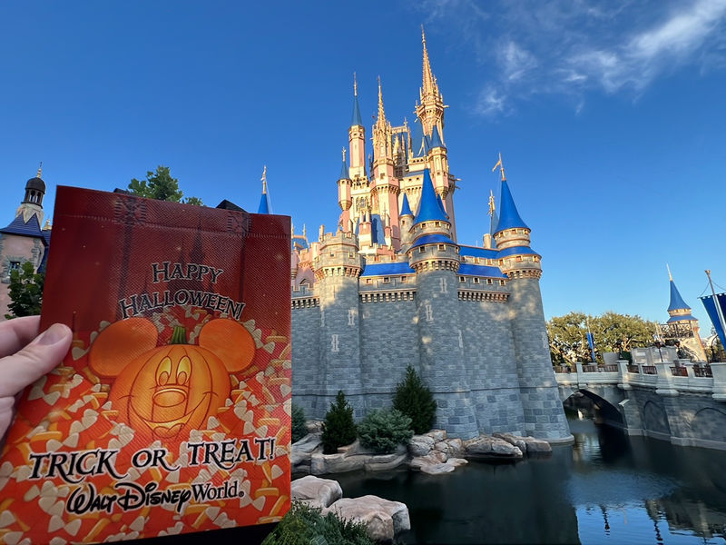 Walt Disney World Resort Update for August 15, 2023
