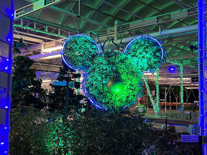 Walt Disney World Resort Update for December 6-12, 2022