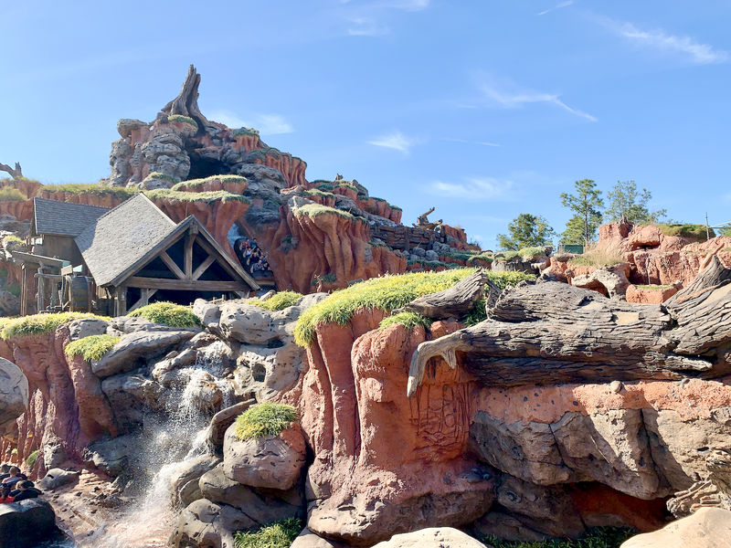 Walt Disney World Resort Update for June 30 - July 6, 2020