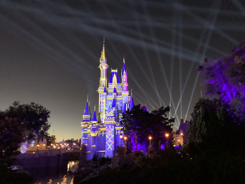 Walt Disney World Resort Update for November 24-30, 2020