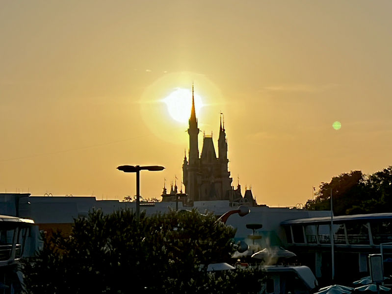 Walt Disney World Resort Update for August 2-8, 2022