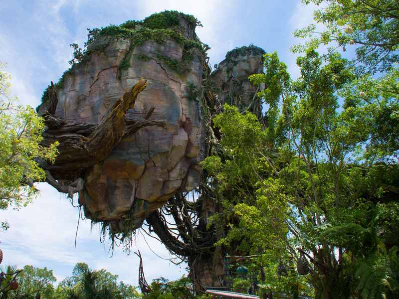 A Sneak Peek at Pandora  - The World of Avatar, the New Land at Animal Kingdom