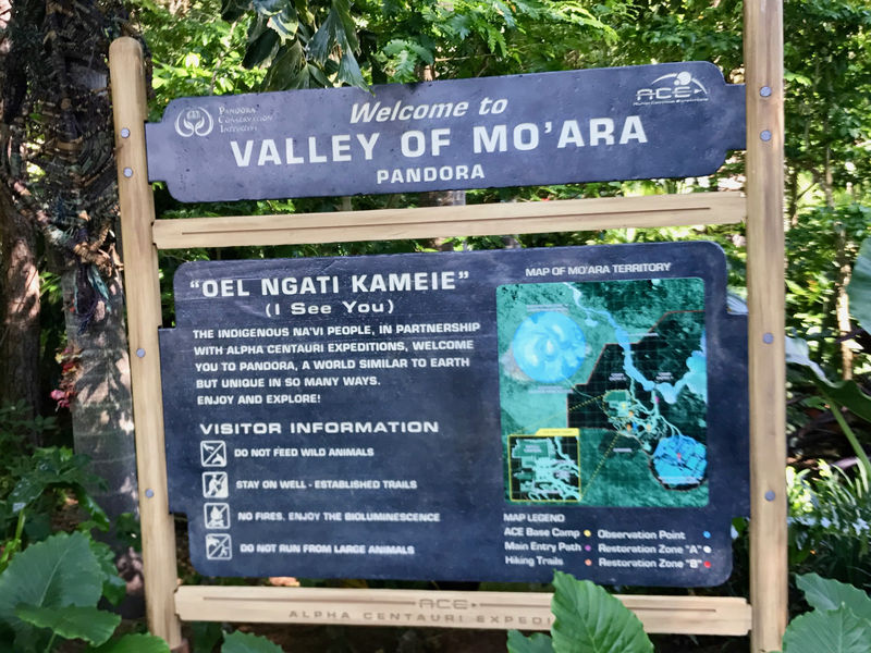 My Disney Top 5 - Things to See in Pandora - The World of Avatar at Disney's Animal Kingdom