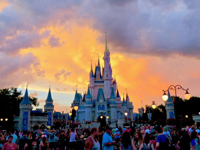 Walt Disney World Resort Update for August 8-14, 2017