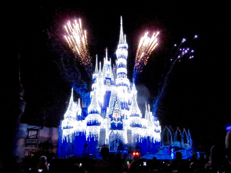 Walt Disney World Resort Update for November 9-16, 2015