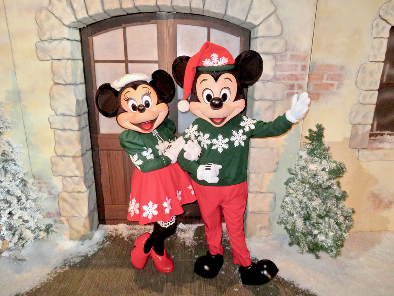 Walt Disney World Resort Update for December 12-18, 2017