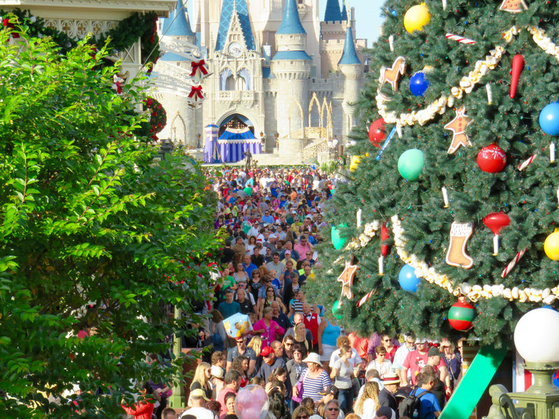 Walt Disney World Resort Update for December 22-28, 2015