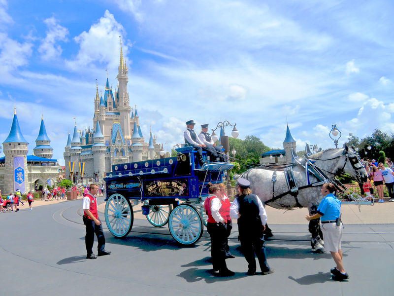 Walt Disney World Resort Update for August 7-13, 2018