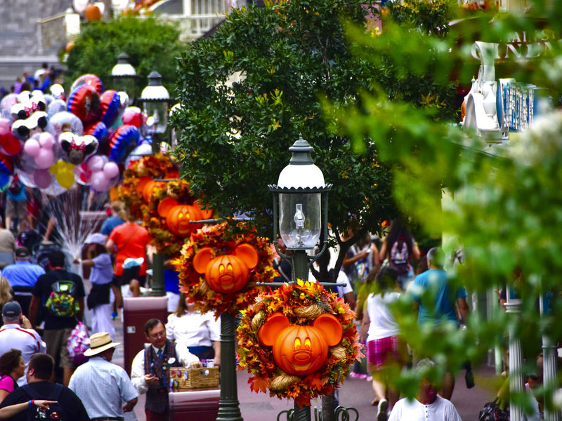 An Optimist's Commentary on Fall Crowds at Disneyland Resort and Walt Disney World