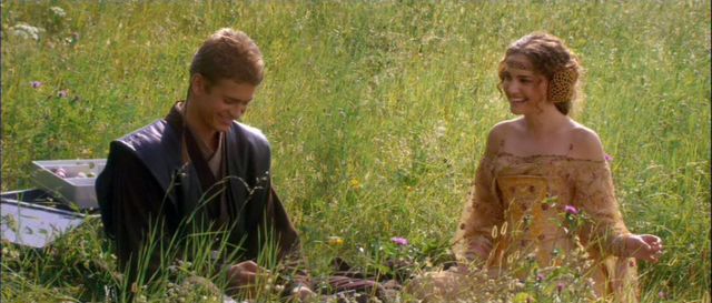 Anakin and Padme's picnic